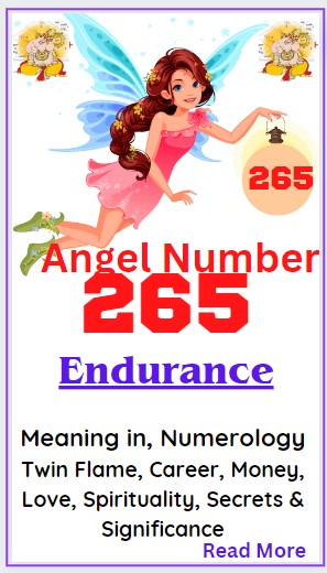 265 angel number