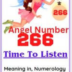 266 angel number