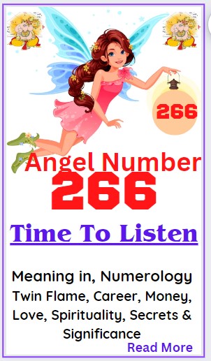 266 angel number
