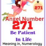 271 angel number
