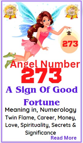 273 angel number