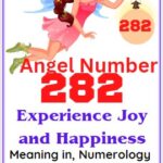 282 angel number