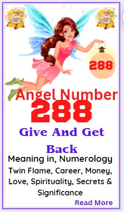 288 angel number