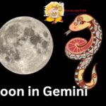 Moon in Gemini sign