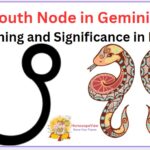 South Node in Gemini