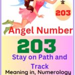 angel number 203