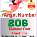 angel number 206