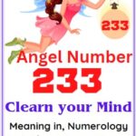 angel number 233