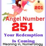 angel number 251