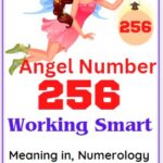 angel number 256