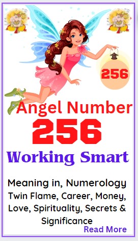 angel number 256