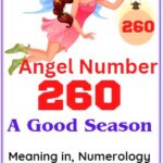 angel number 260
