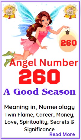 angel number 260