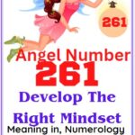 angel number 261