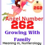 angel number 262