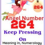 angel number 264