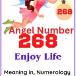angel number 268