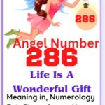 angel number 286