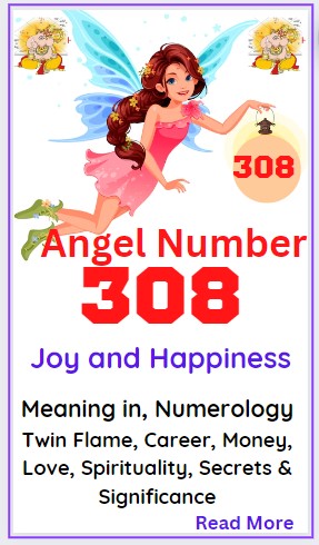 308 angel number