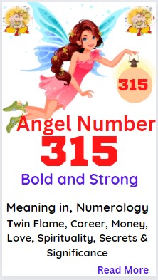 315 angel number