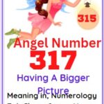 317 angel number