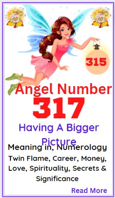 317 angel number