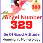 329 angel number