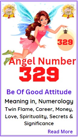 329 angel number