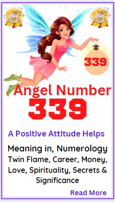 339 angel number