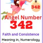 342 angel number