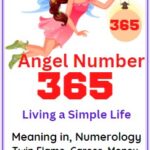 what does 365 mean