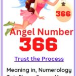 What does 366 mean