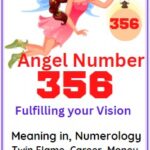 What Does 356 Mean