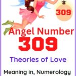 angel number 309