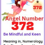 372 angel number