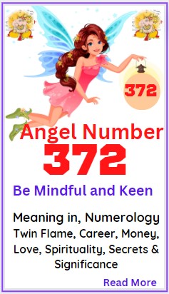 372 angel number