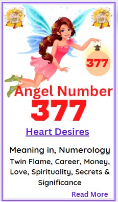 377 angel number