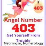 403 angel number