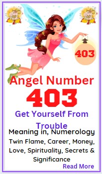 403 angel number