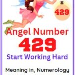 429 angel number