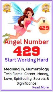 429 angel number