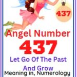 437 angel number