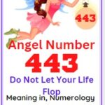 443 angel number