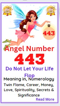 443 angel number