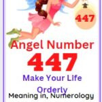 447 angel number