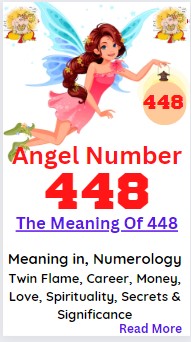 448 angel number
