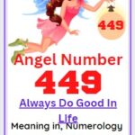 449 angel number