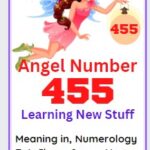 angel number 455