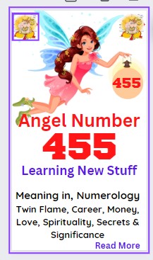 angel number 455