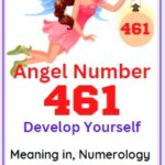 461 angel number meaning